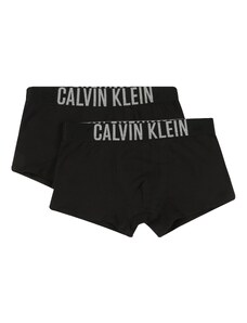 Calvin Klein Underwear Apakšbikses melns / balts