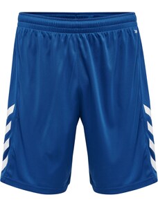 Hummel Sporta bikses 'Core' tumši zils / balts