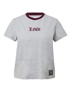 LEVI'S  T-Krekls 'Graphic Classic Tee' raibi pelēks / bordo