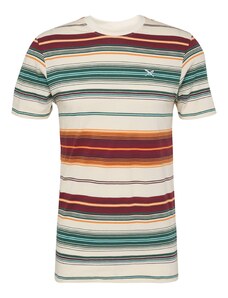 Iriedaily T-Krekls 'Santo' bēšs / zaļš / oranžs