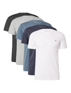 Abercrombie & Fitch T-Krekls debeszils / gaiši pelēks / melns / balts