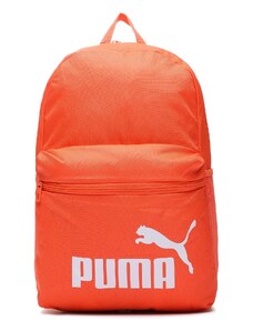 Mugursoma Puma