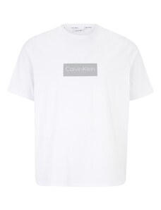 Calvin Klein Big & Tall T-Krekls sudrabpelēks / balts