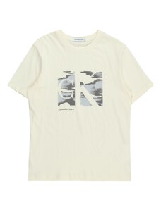 Calvin Klein Jeans T-Krekls 'Serenity' baložzils / tumši pelēks / dabīgi balts