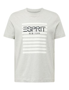 ESPRIT T-Krekls gaiši pelēks / melns / balts