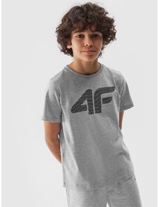 4F Zēnu t-krekls ar apdruku - auksti gaiši pelēks