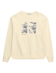 Calvin Klein Jeans Sportisks džemperis 'SERENITY' pelēks / antracīta / vilnbalts