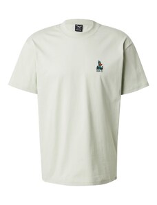 Iriedaily T-Krekls 'What The Duck' tirkīza / antracīta / pasteļzaļš / balts