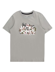 Jack & Jones Junior T-Krekls 'CHILL' pelēks / olīvzaļš / vecrozā / balts