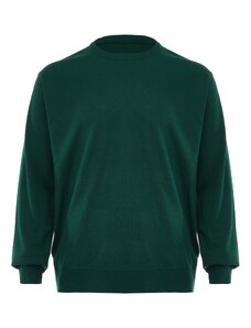 RAIDO Džemperis zaļš