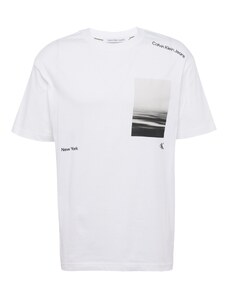 Calvin Klein Jeans T-Krekls 'SERENITY' pelēks / gaiši pelēks / melns / balts