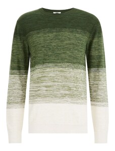 WE Fashion Džemperis gaiši zaļš / tumši zaļš / balts