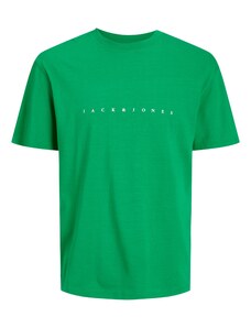 JACK & JONES T-Krekls 'STAR' zaļš / balts