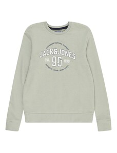 Jack & Jones Junior Sportisks džemperis 'Minds' tumši zils / pasteļzaļš / balts