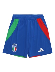 ADIDAS PERFORMANCE Sporta bikses 'Italy 24 Away' zils / zaļš / sarkans / balts