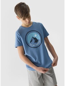 4F Zēnu t-krekls no organiskās kokvilnas ar apdruku - zils