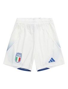 ADIDAS PERFORMANCE Sporta bikses 'Italy 24' zils / zaļš / ķiršsarkans / balts