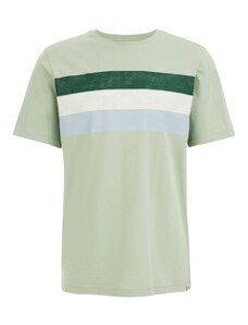 WE Fashion T-Krekls nebalināts / pasteļzaļš / tumši zaļš