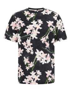 WE Fashion T-Krekls antracīta / zaļš / rožains / balts