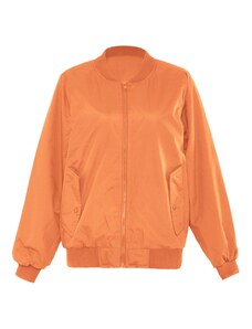 Exide Starpsezonu jaka aprikožu