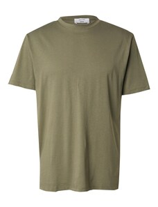 DAN FOX APPAREL T-Krekls 'Piet' olīvzaļš