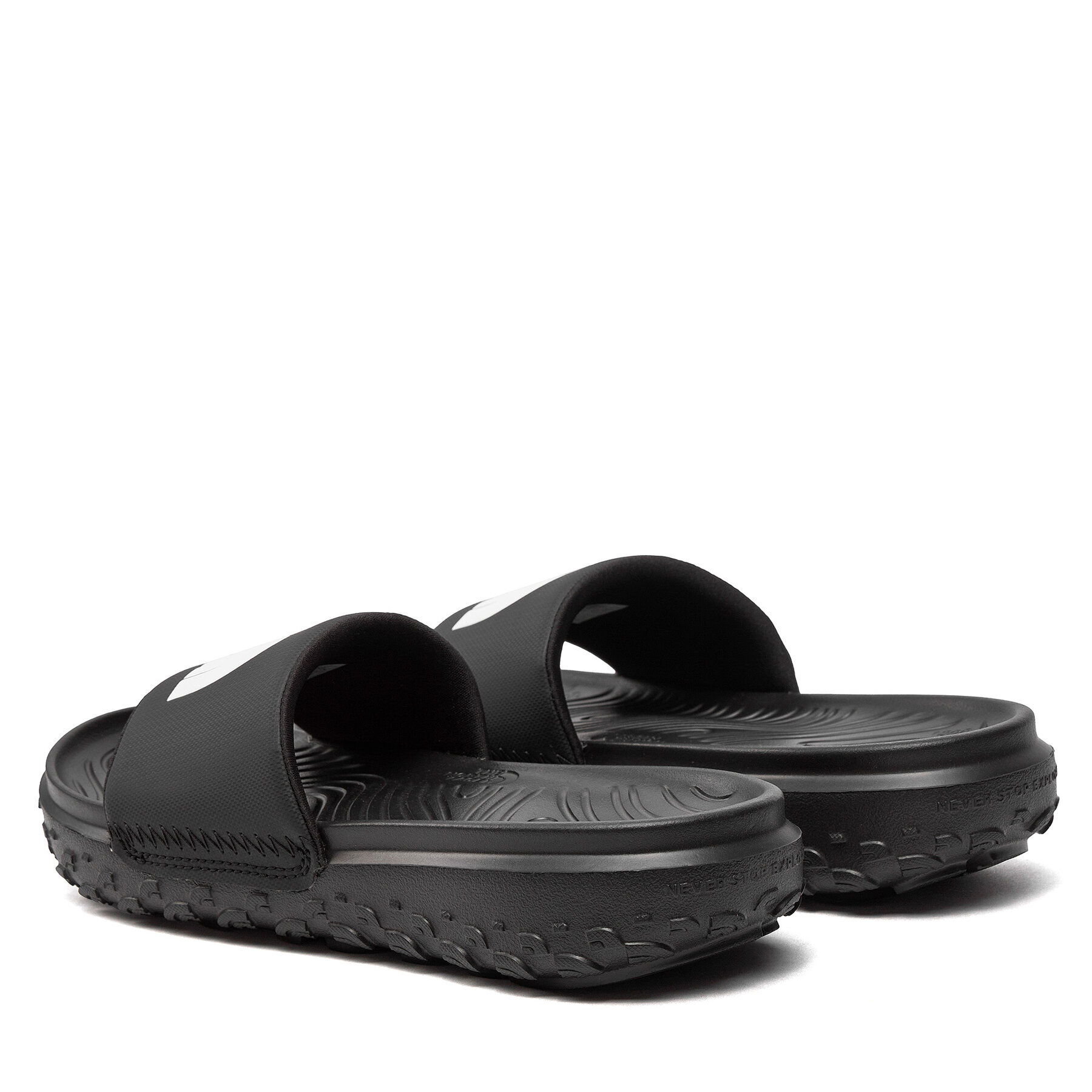 Iešļūcenes The North Face