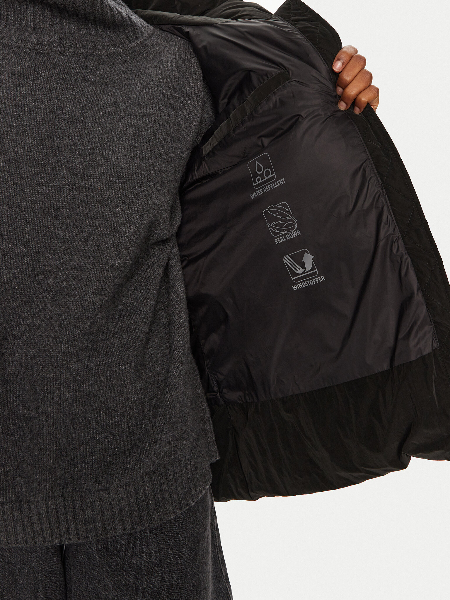 Dūnu jaka Bomboogie