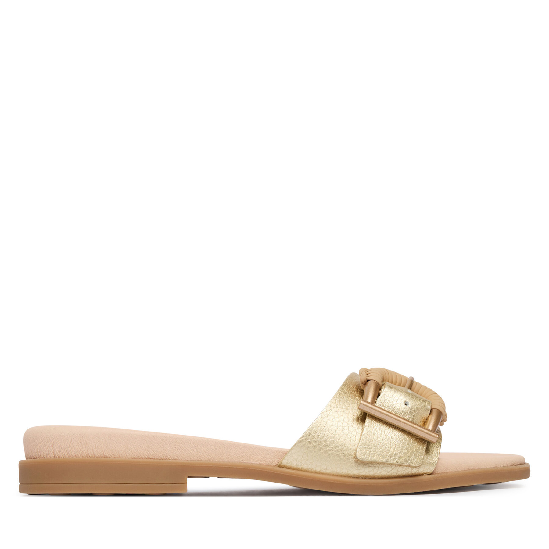 Iešļūcenes Hispanitas