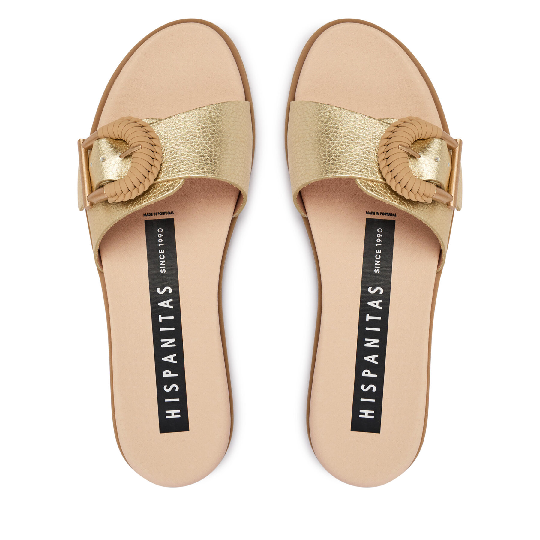 Iešļūcenes Hispanitas