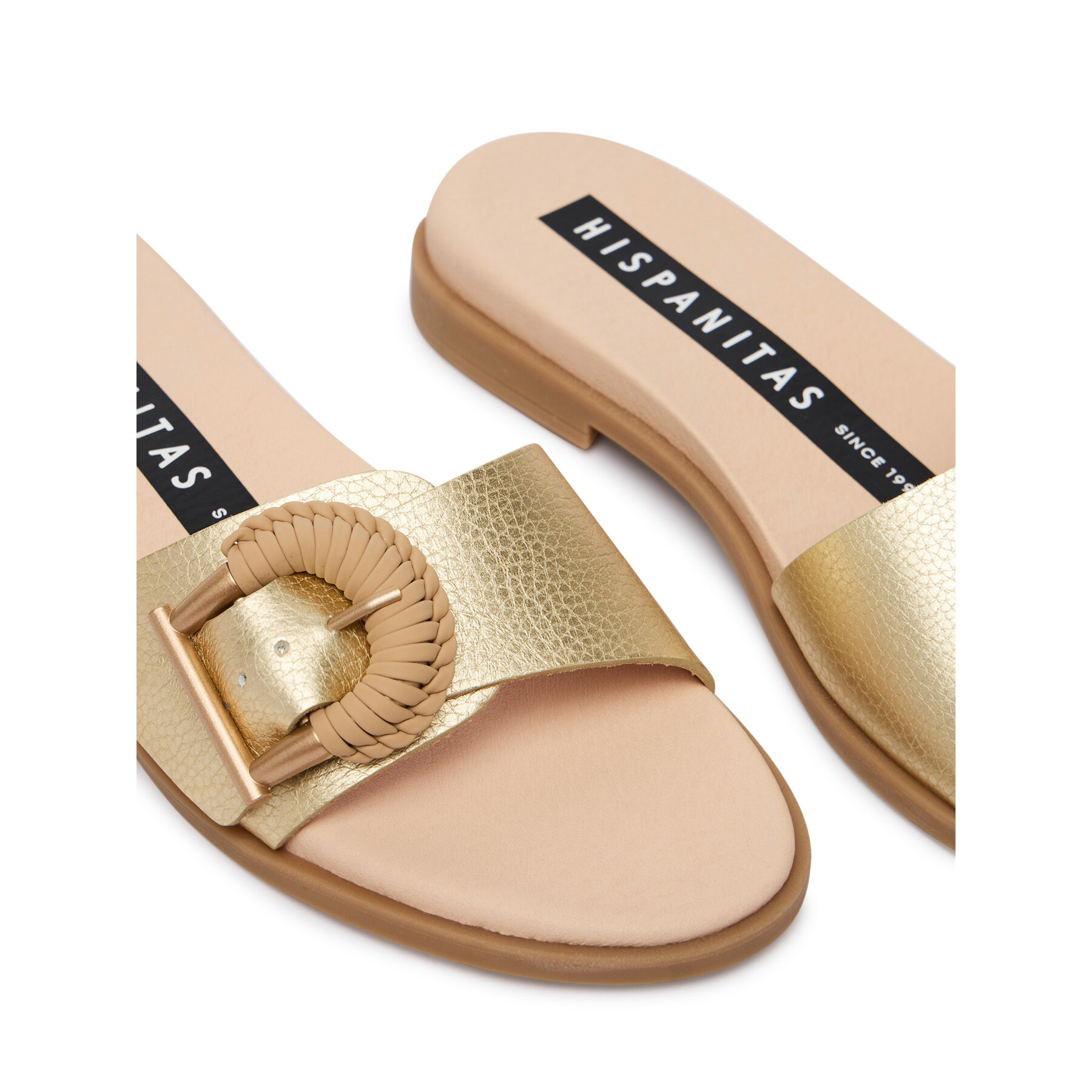 Iešļūcenes Hispanitas