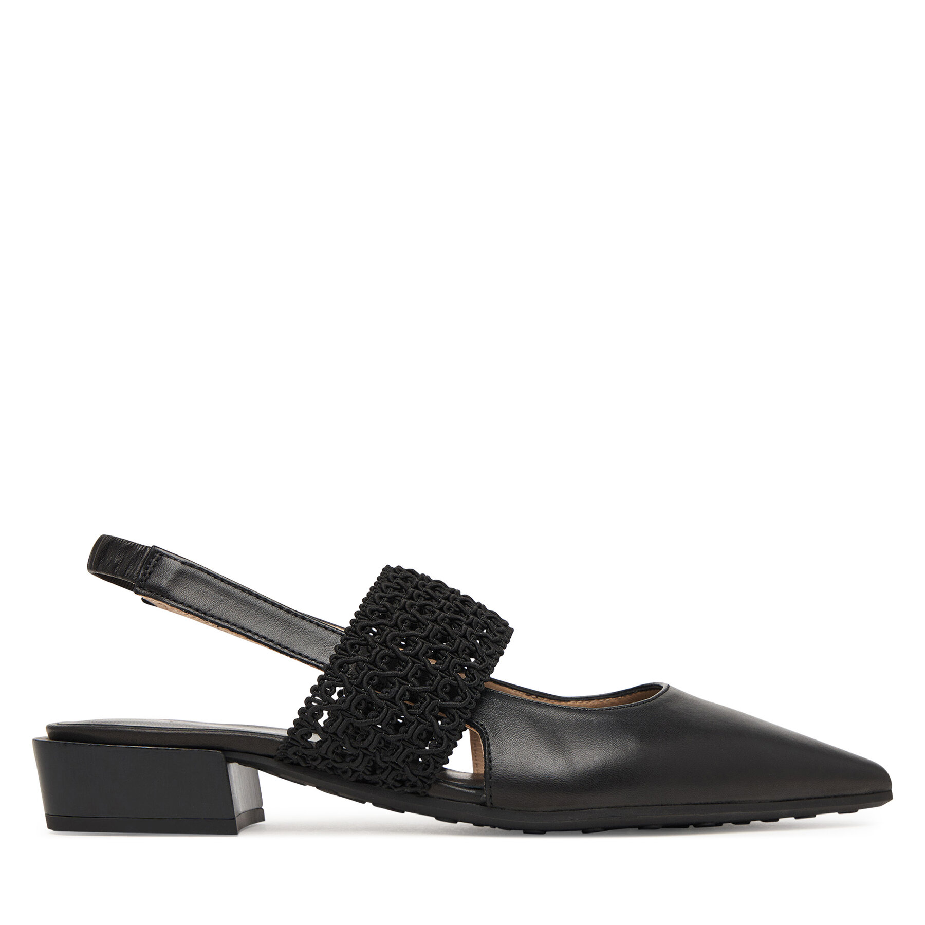 Laiviņas Hispanitas