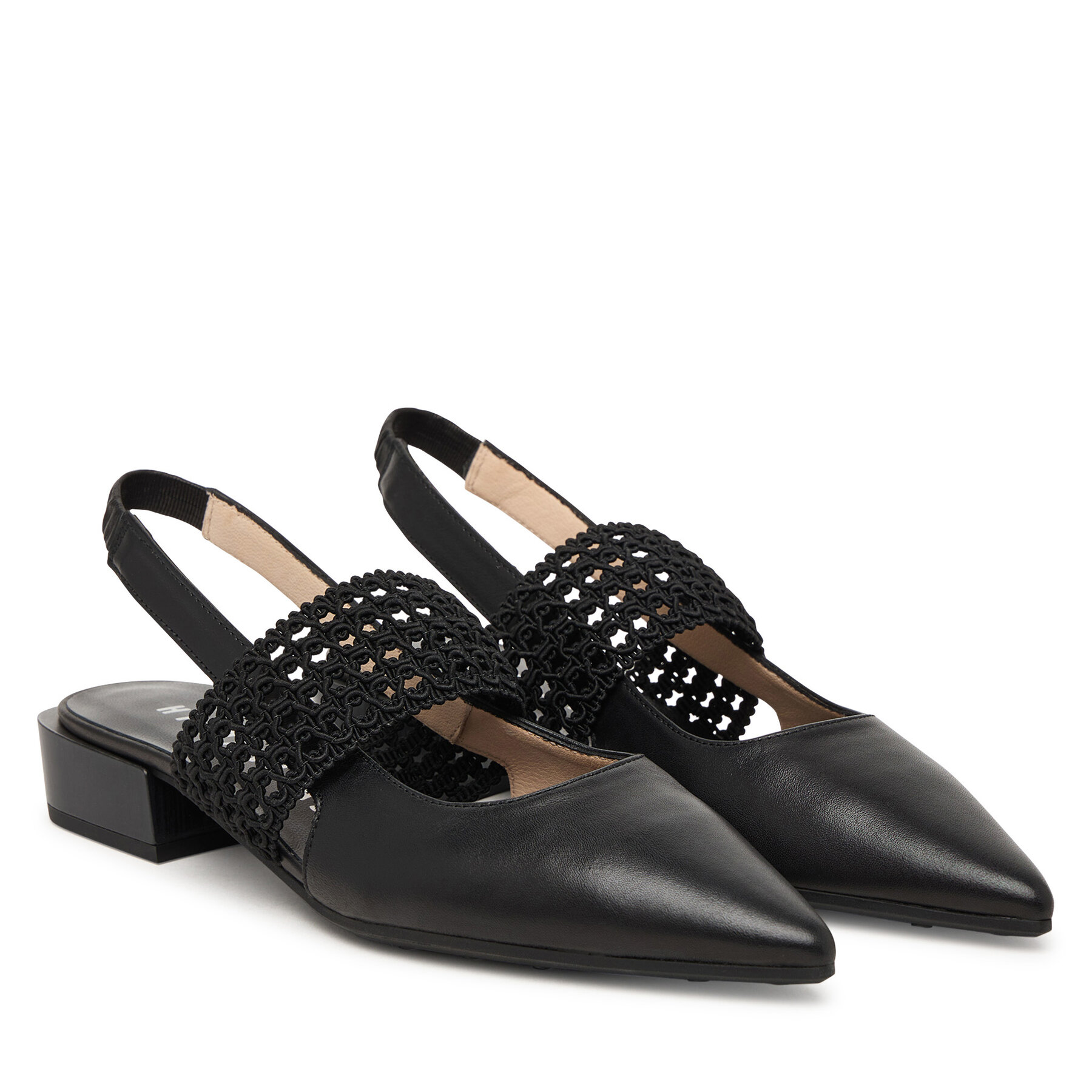 Laiviņas Hispanitas