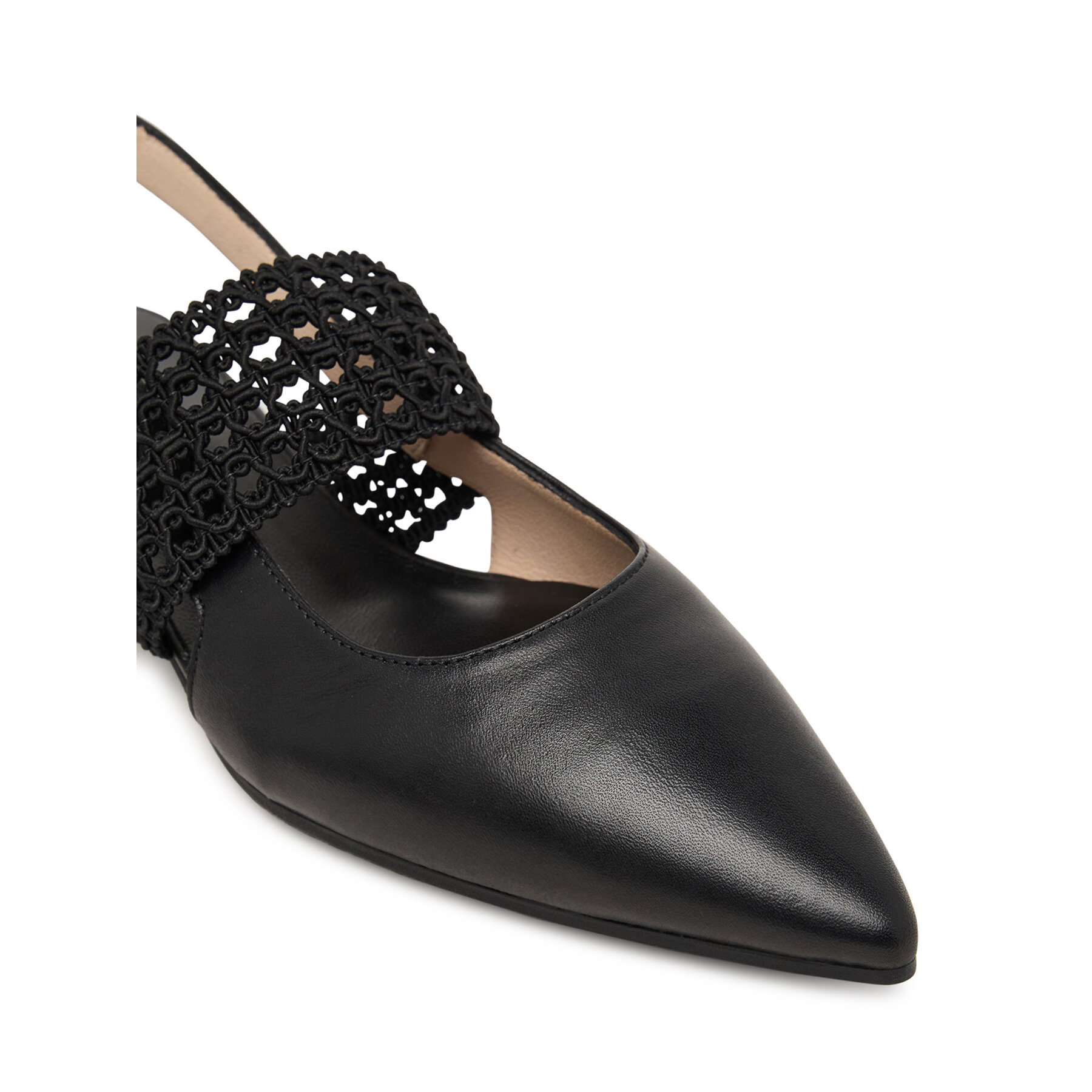 Laiviņas Hispanitas