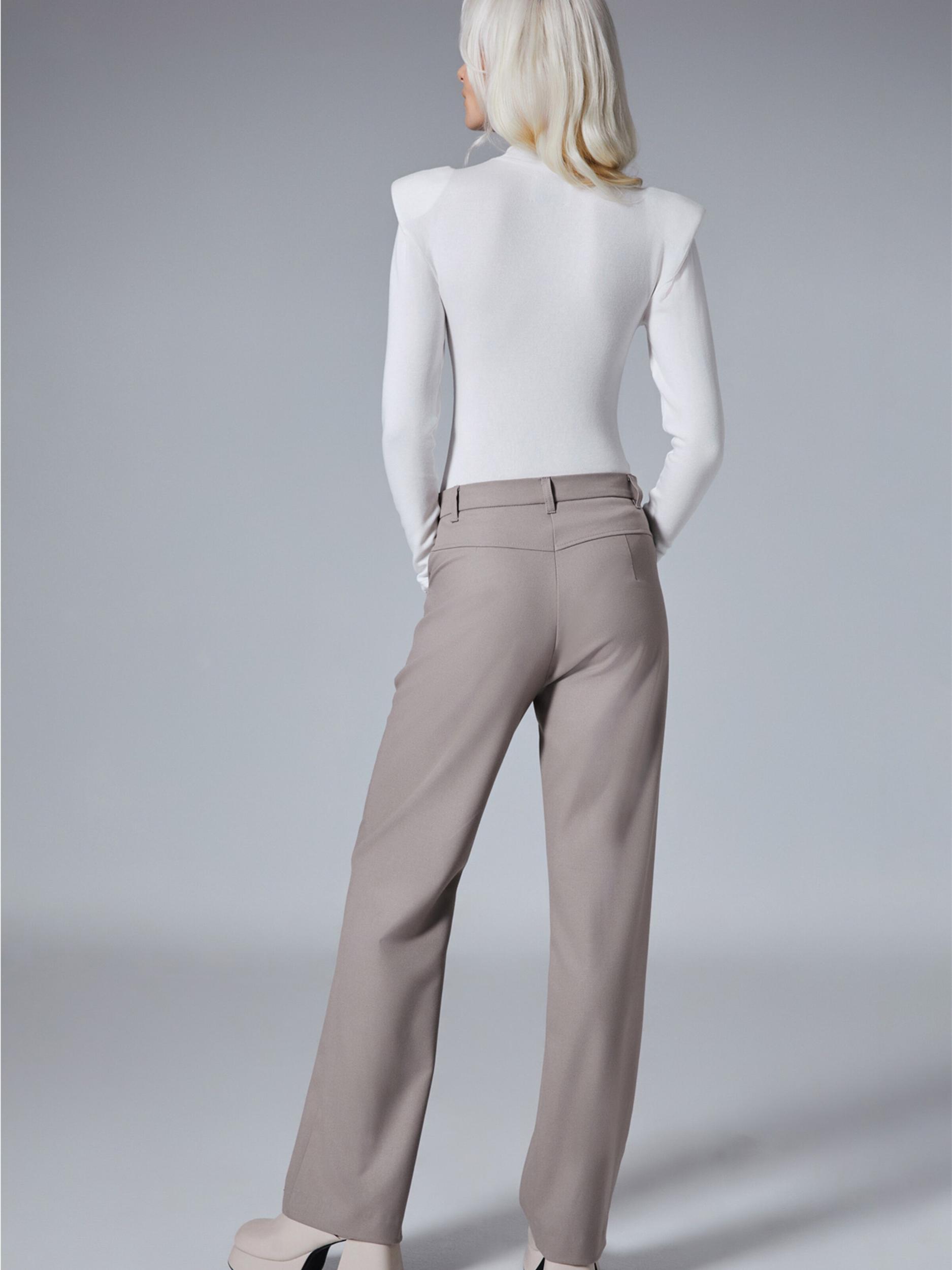 4TAILORS Bikses 'Jerry' pelēkbrūns