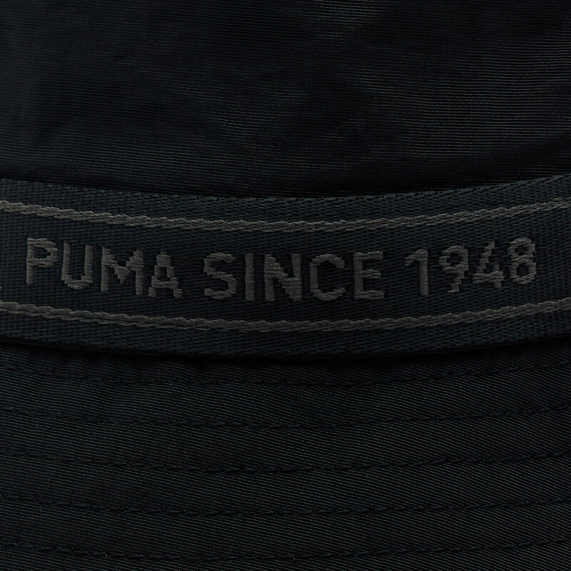 Platmale Puma