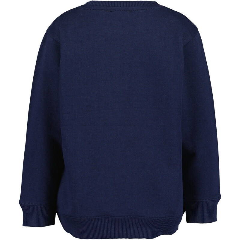 Džemperis ar kapuci Blue Seven
