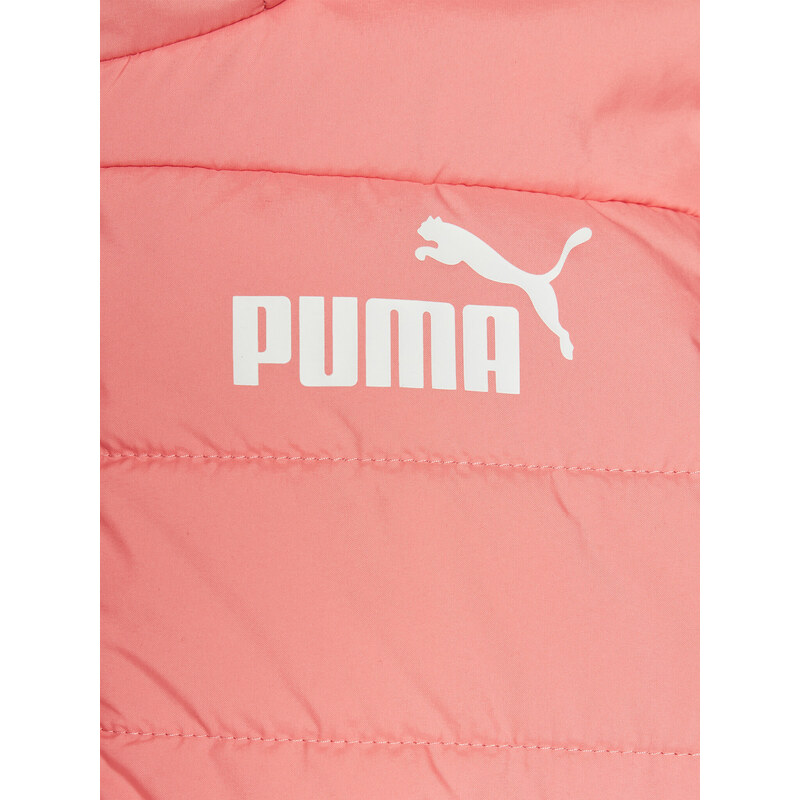 Dūnu jaka Puma