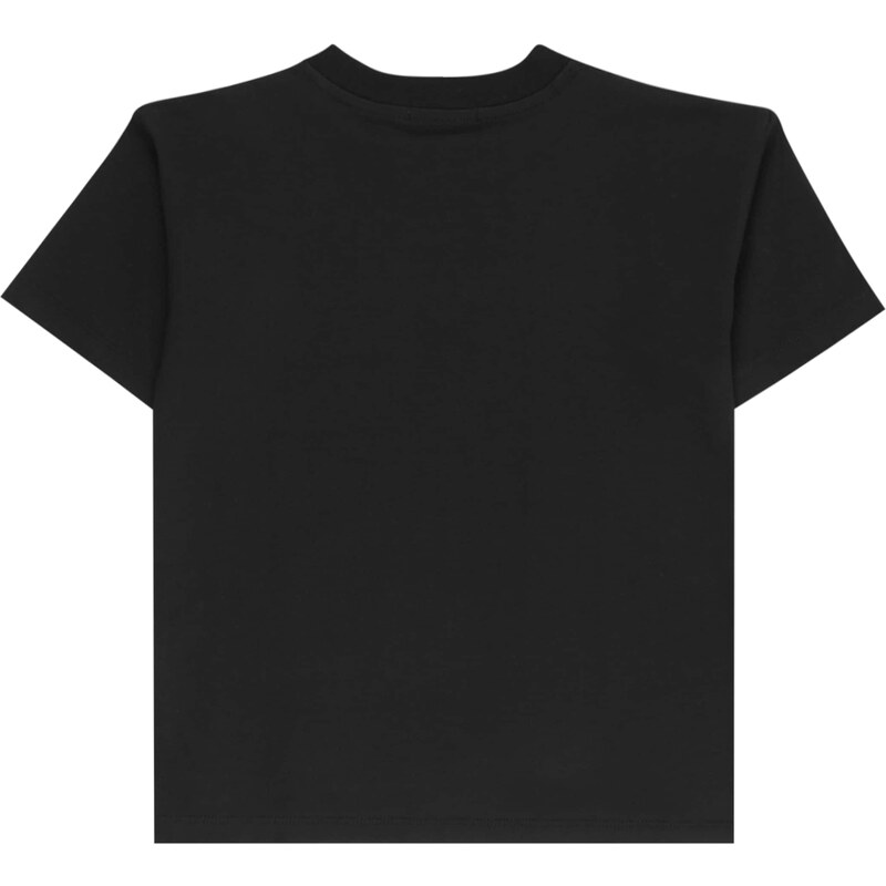 Calvin Klein Jeans T-Krekls sudrabpelēks / melns