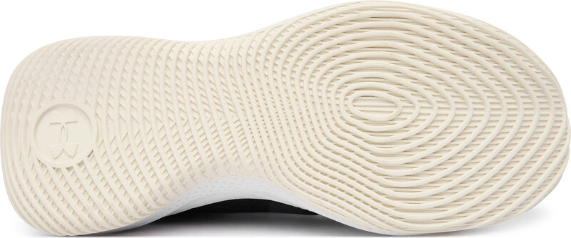 Basketbola apavi Under Armour