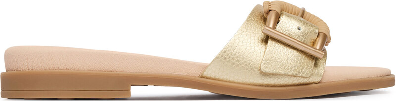 Iešļūcenes Hispanitas