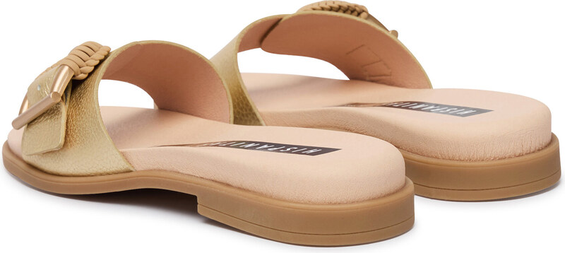 Iešļūcenes Hispanitas