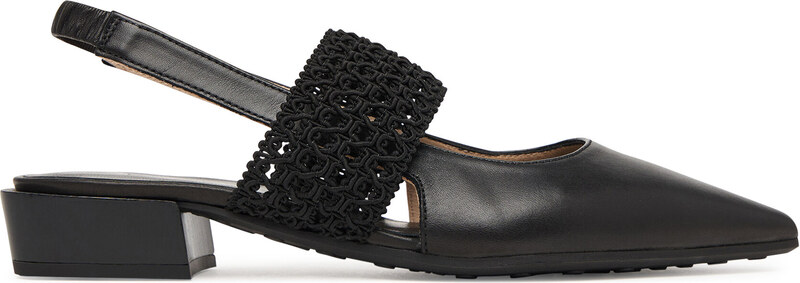 Laiviņas Hispanitas