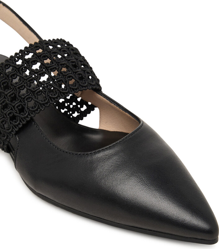 Laiviņas Hispanitas