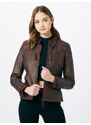 Maze Starpsezonu jaka 'Ryana' kastaņbrūns