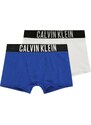 Calvin Klein Underwear Apakšbikses 'Intense Power' zils / melns / balts