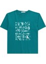 Calvin Klein Jeans T-Krekls degvielas krāsas / piparmētru / balts