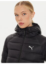 Dūnu jaka Puma