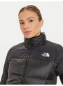 Dūnu jaka The North Face