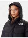 Ziemas jaka The North Face