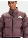 Dūnu jaka The North Face